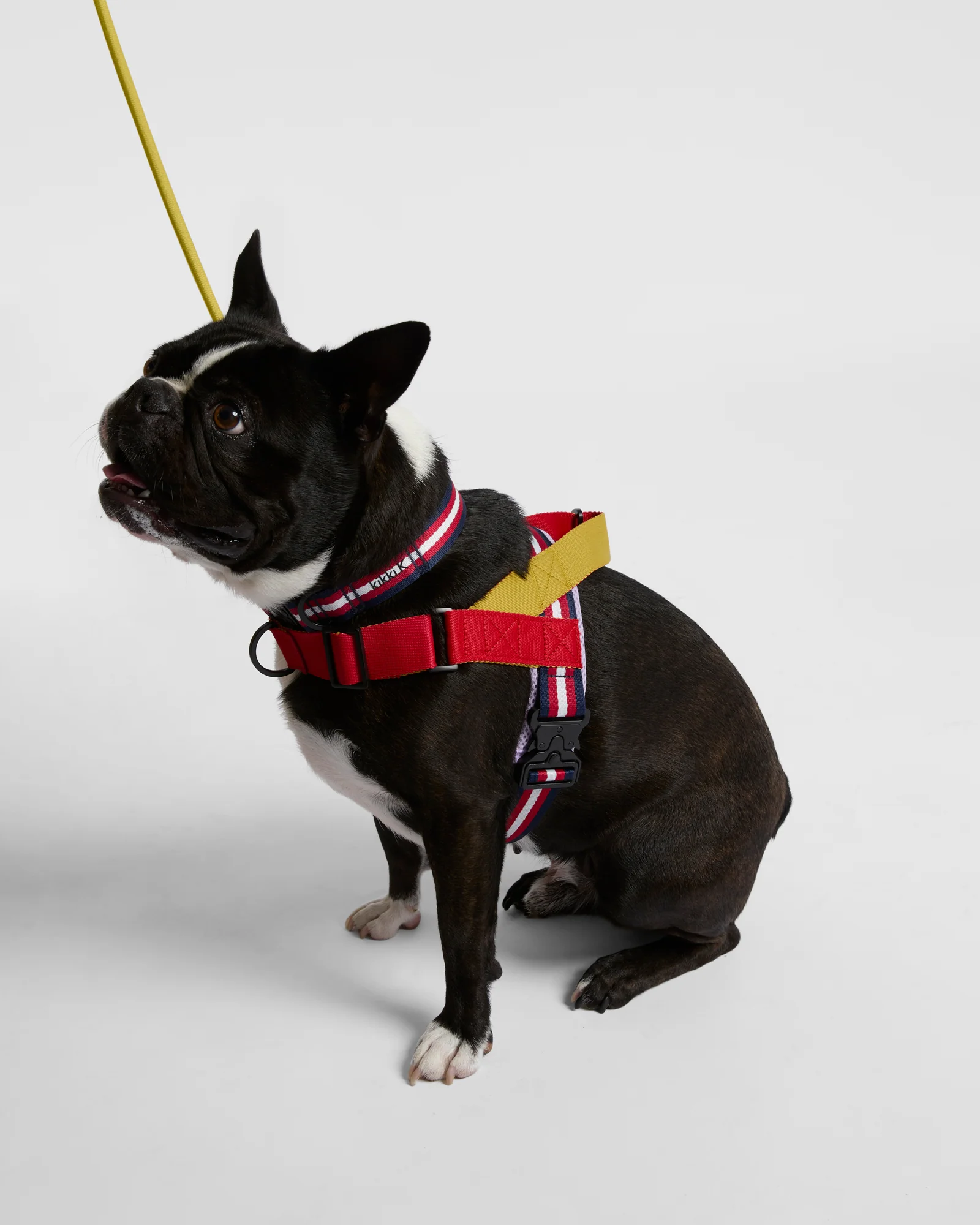 TREK. Pet Rope Lead - Image 3