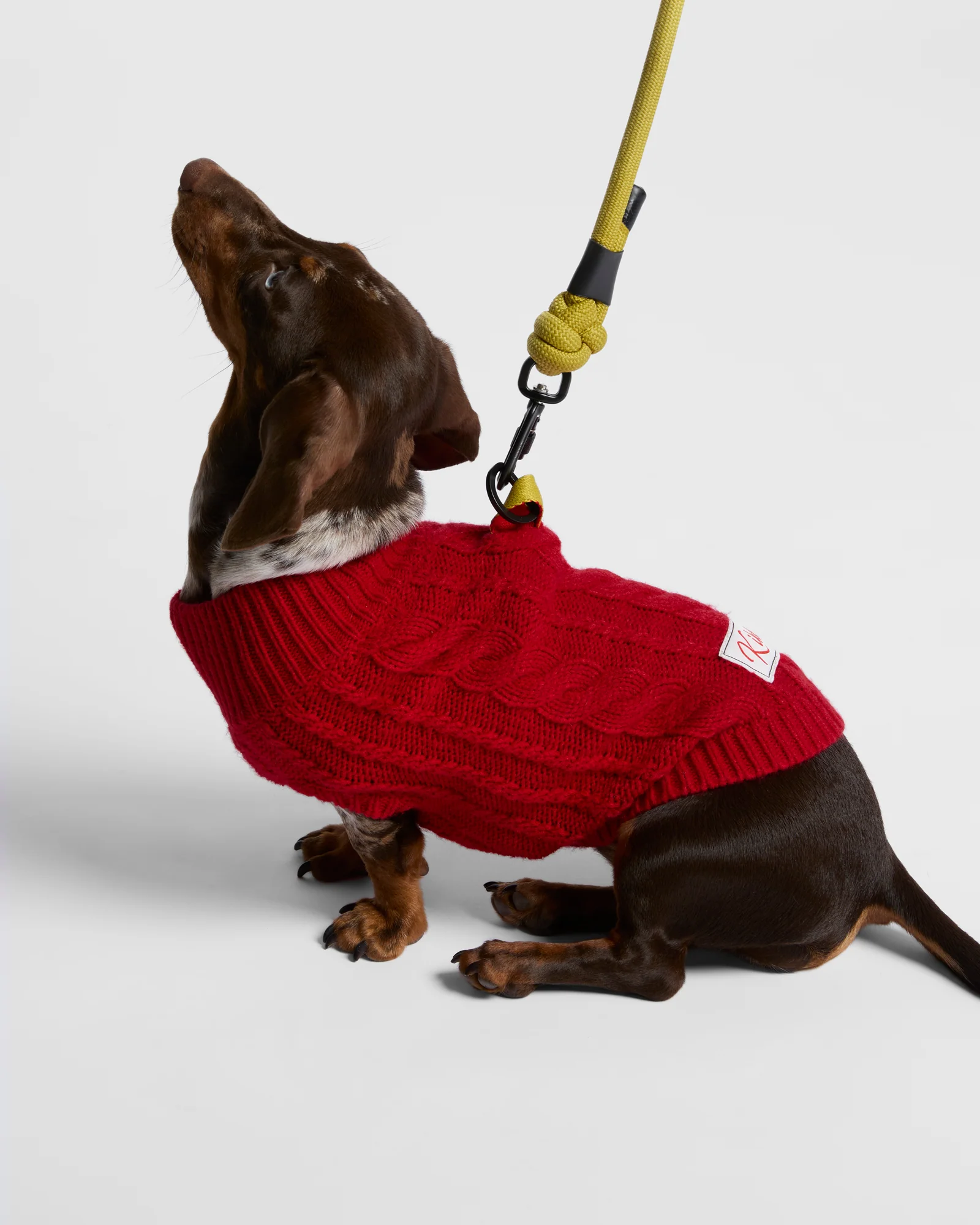 Voyage Cable Pet Knit - Image 4